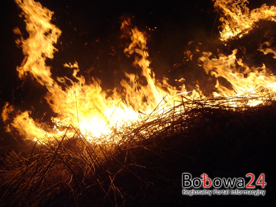 Pożar traw w Sedziszowej