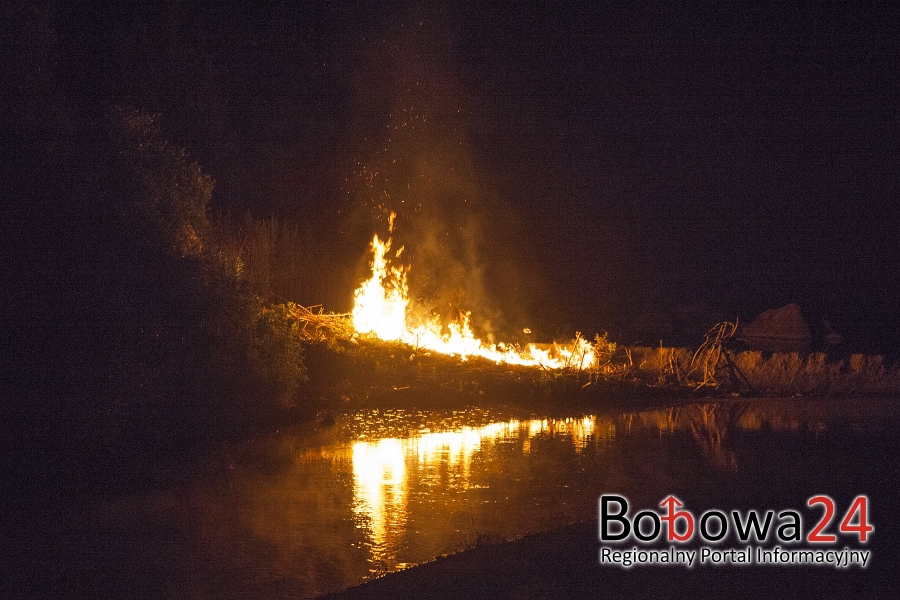 Pożar przy rzece w Jankowej